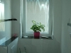 bau-bilder-2-045