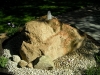 bilder-von-kamara-026